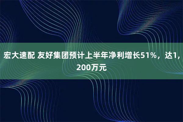 宏大速配 友好集团预计上半年净利增长51%，达1,200万元